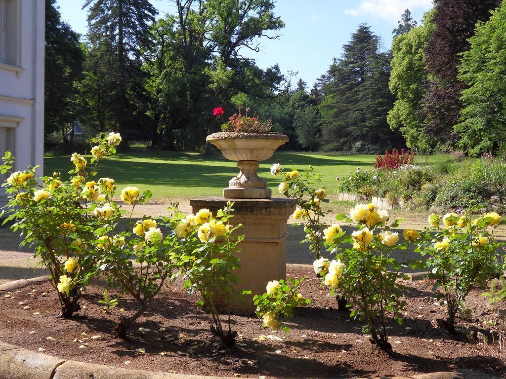 Château De La Motte Couette-café 3*
