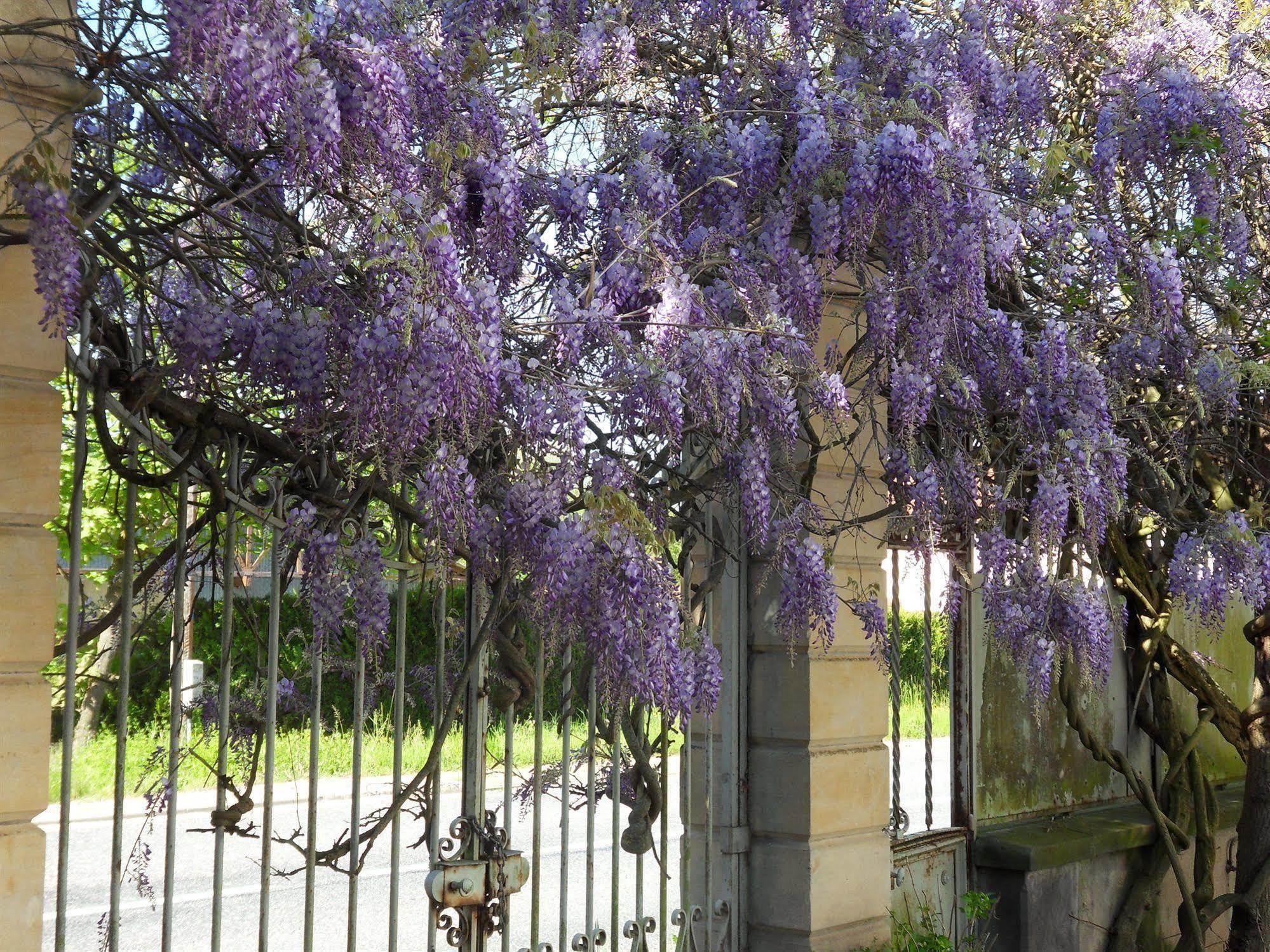 Chateau De La Motte Bed and breakfast Noailly